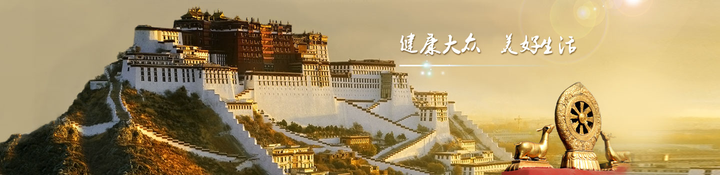 中文字幕丰满孑伦无码专区