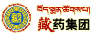 中文字幕丰满孑伦无码专区