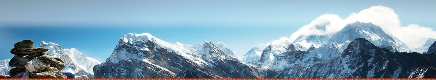 中文字幕丰满孑伦无码专区