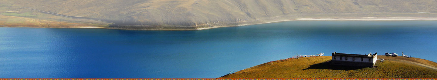 中文字幕丰满孑伦无码专区