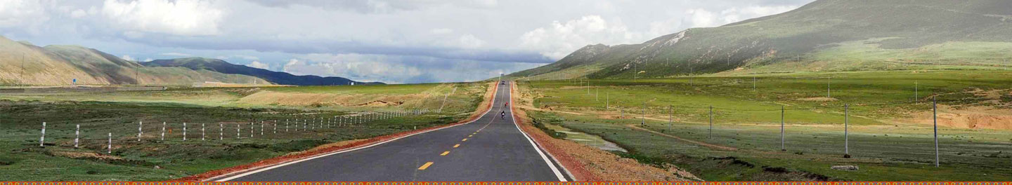 中文字幕丰满孑伦无码专区