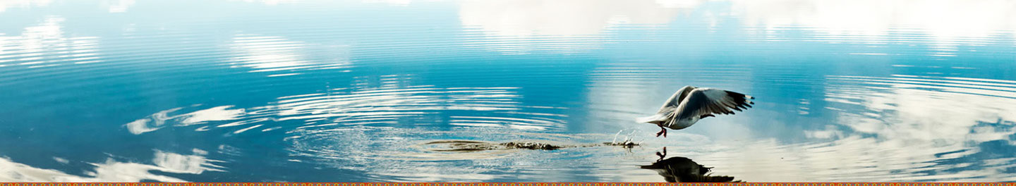 中文字幕丰满孑伦无码专区