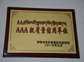 中文字幕丰满孑伦无码专区