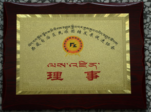 中文字幕丰满孑伦无码专区