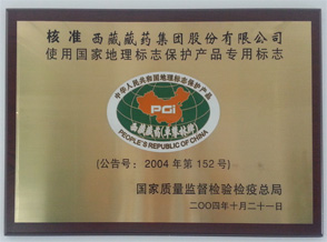 中文字幕丰满孑伦无码专区