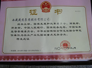 中文字幕丰满孑伦无码专区