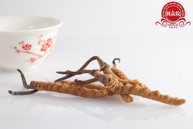 中文字幕丰满孑伦无码专区