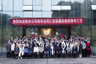 中文字幕丰满孑伦无码专区